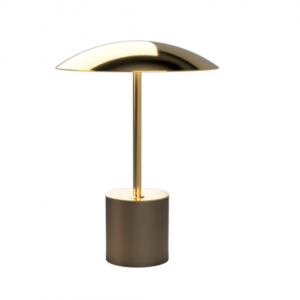 Brass & Bronze Table Lamp III